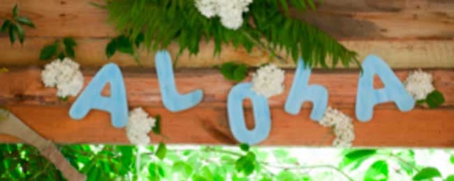 Hawaiana: Salva la fiesta