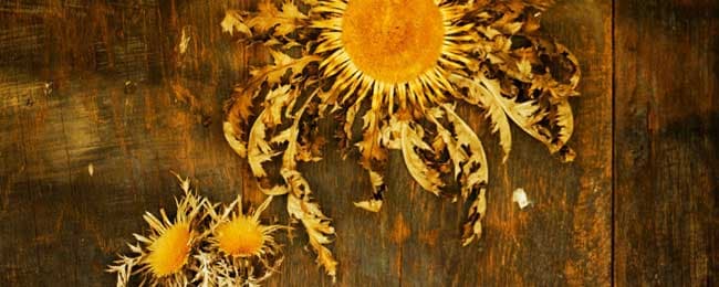 En busca del Eguzkilore