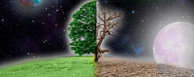 Ascension project: ALIK