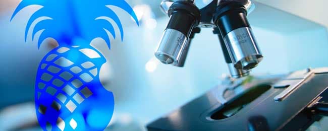 Pineapple Corporation