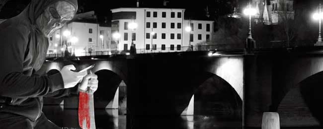 El asesino de la red