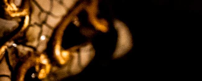 No deberías estar aquí