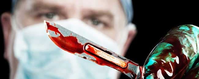 Guarida del Doctor Raimon