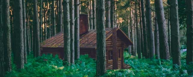 El secreto de la montaña